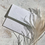 Kiwi Card