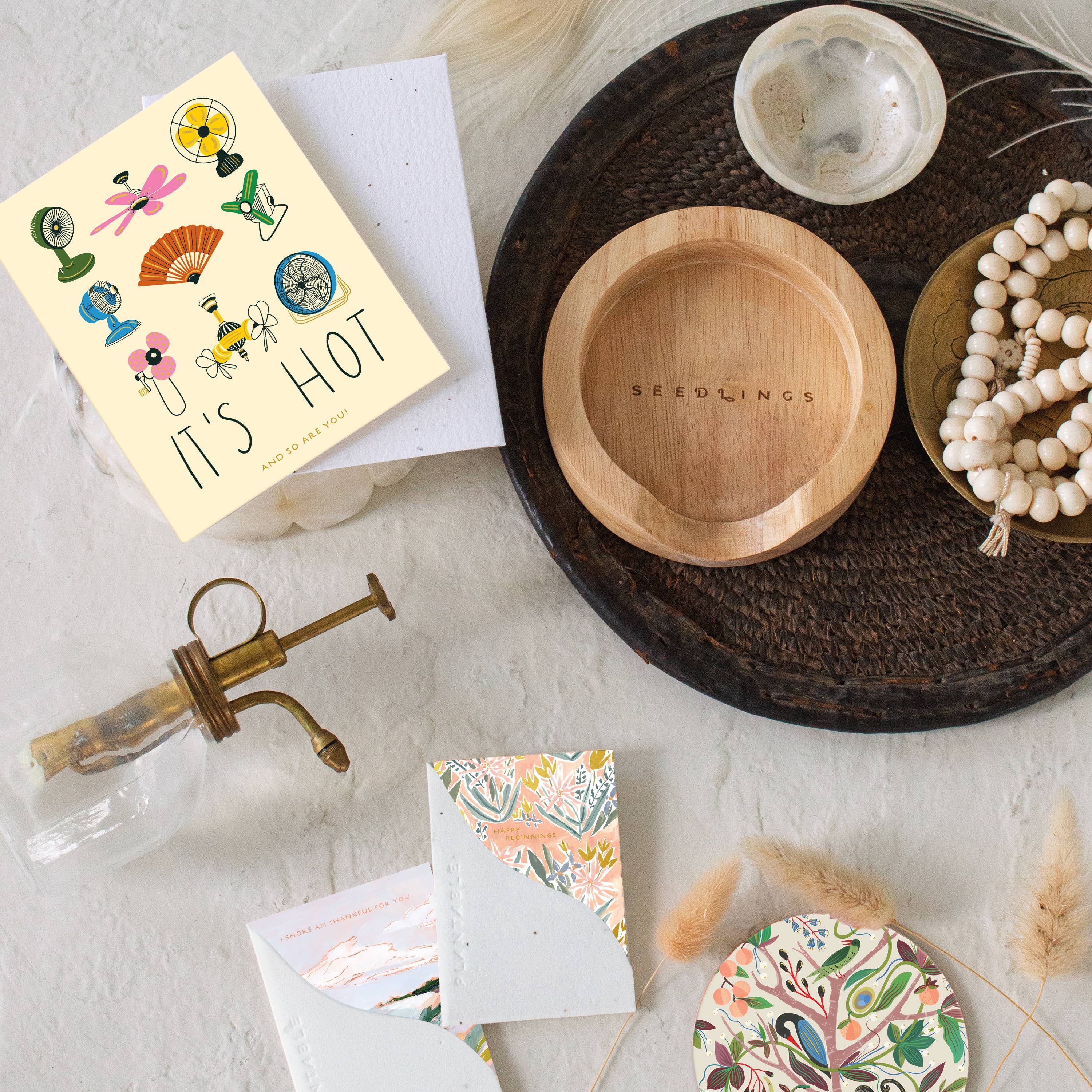 Fans Card