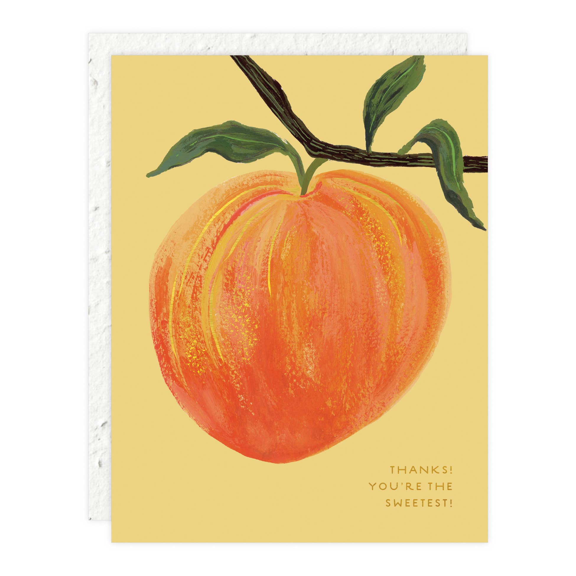Thank You Cards