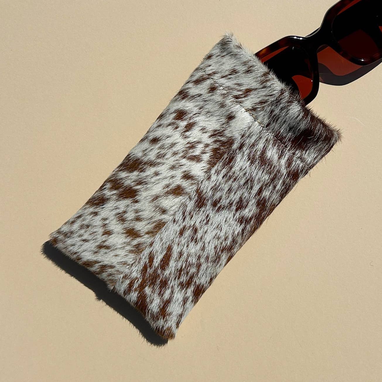 Sunglasses Case