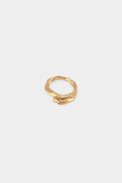 Intertidal Ring