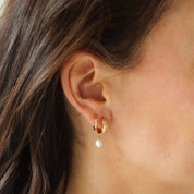 Fine Line Hoops
