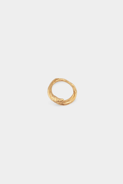 Intertidal Ring