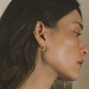 Drumlin Earrings
