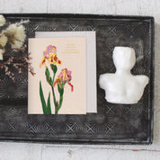 Whimsy Bloom Card