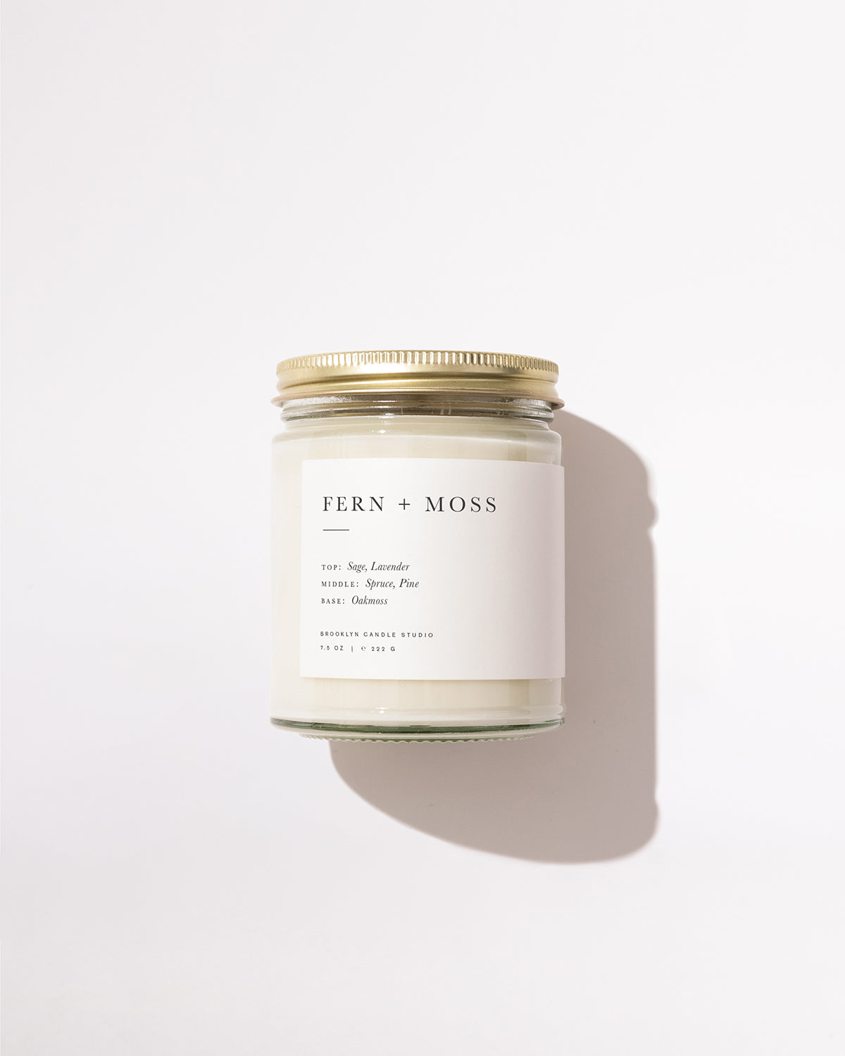 Fern_MossJar_WEB.jpg