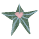 Heart_Star.png