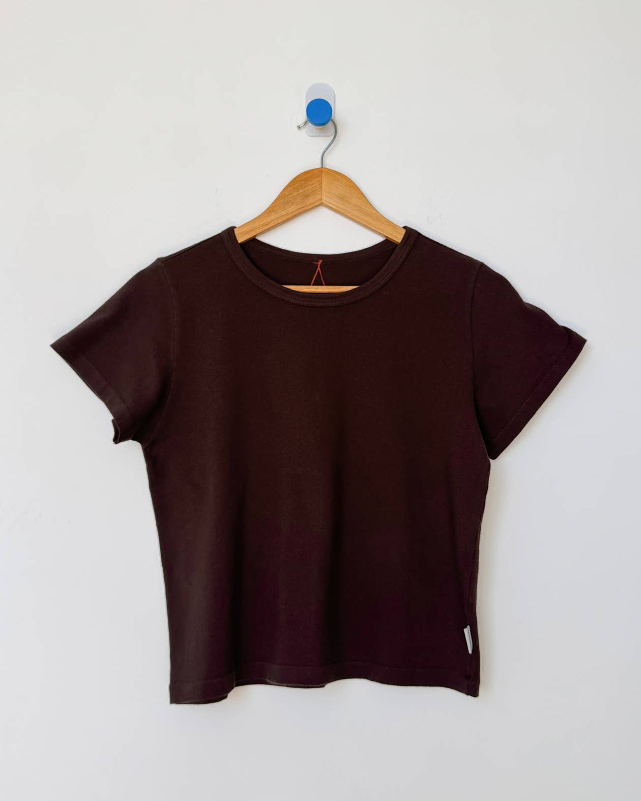 Brown t-shirt on a wooden hanger against a white background