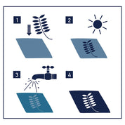 Sunography - Paper